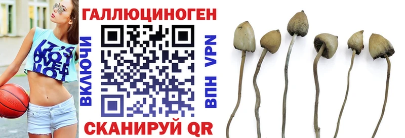 Галлюциногенные грибы мухоморы  Динская 